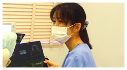 加藤 裕香
